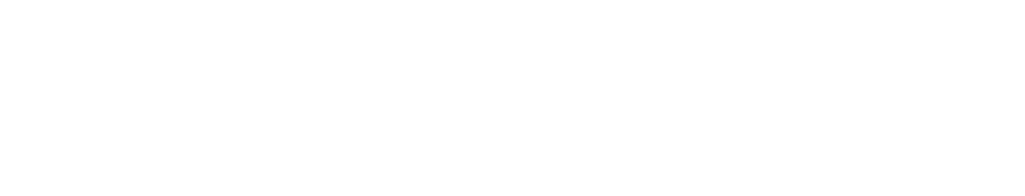 Vector